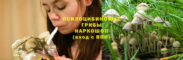 стафф Семикаракорск